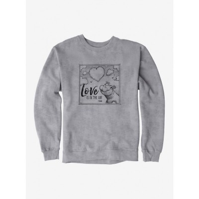 Fiona Hippo Valentine's Day Cloud Print Men's Sweatshirt