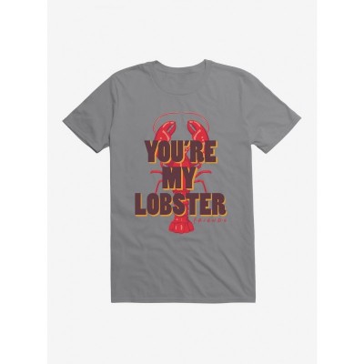 My Friends My Lobster Lightweight Cotton T-Shirt for Men