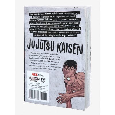 Jujutsu Kaisen Volume 17 Manga - 200 Pages Imported Edition