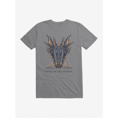 House of the Dragon Flame Design Unisex T-Shirt